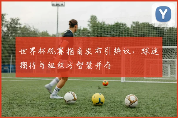 世界杯观赛指南发布引热议，球迷期待与组织方智慧并存