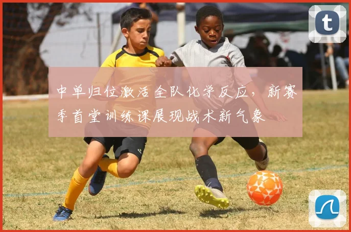 中单归位激活全队化学反应，新赛季首堂训练课展现战术新气象