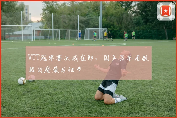 WTT冠军赛决战在即，国乒男单用数据打磨最后细节