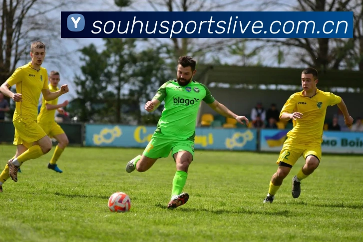 解说员李娜